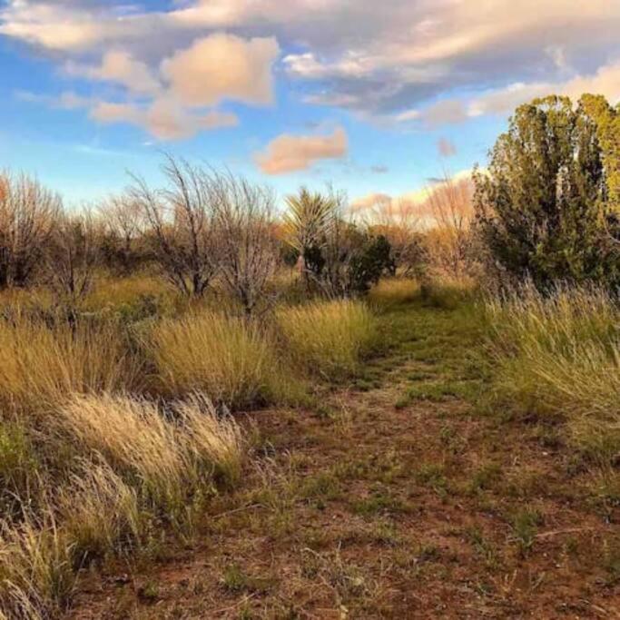 Cottonwood Creek Cabins - Alpine, Tx Luaran gambar