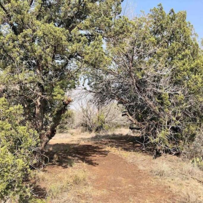 Cottonwood Creek Cabins - Alpine, Tx Luaran gambar